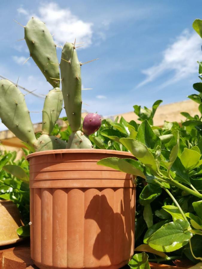 B&B Scogli Bianchi Lido di Noto Ngoại thất bức ảnh